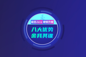 2021年尚硅谷Java后端【2021年11月结课】|阶段五已更新|无秘