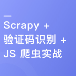 （新版）Python 分布式爬虫与 JS 逆向进阶实战