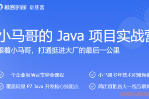 极客-小马哥的 Java 项目实战营