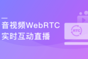 WebRTC实时互动直播技术入门与实战 5G时代必备技能（完结）